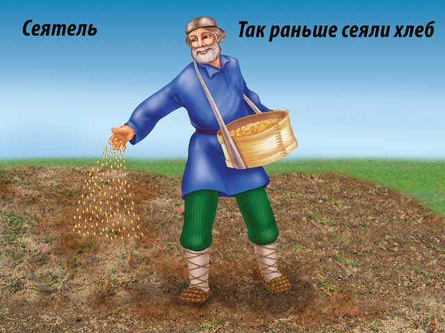 В-Д."Хлеб-всему голова" Д-479 /14