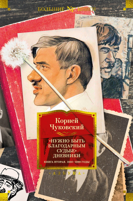 "Нужно быть благодарным судьбе". Дневники. Книга вторая. Années 1930-1969