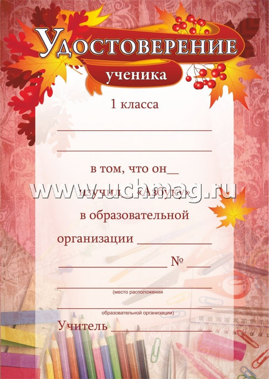 Удостоверение ученика 1 класса об изучении "Азбуки". (Формат А5, бумага мелованная пл.250)