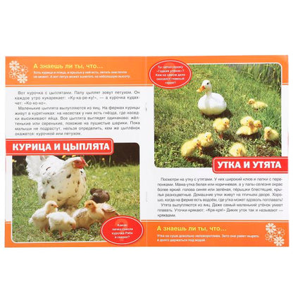 "УМКА". МАМЫ И МАЛЫШИ (ЭНЦИКЛОПЕДИЯ А4) ФОРМАТ: 214Х290ММ, ОБЪЕМ: 16 СТР. (4+4), ОБЛ. 4+5 в кор.50шт