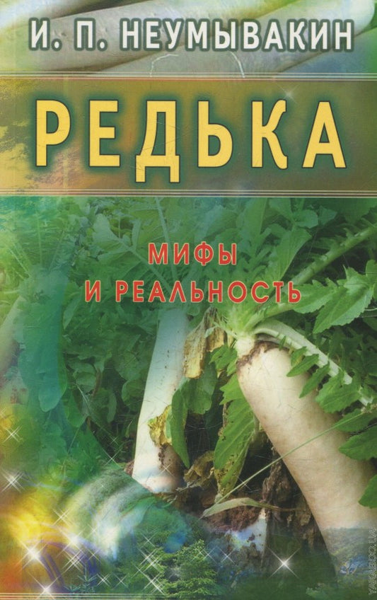 Редька. Мифы и реальность