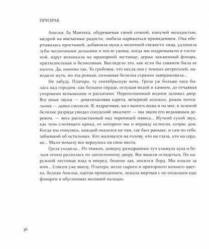 Платеро и я. Андалузская элегия /; предисл. и коммент. Н. Малиновской, пер.с испан. А. Гелескула; ил. И. Мурашовой.