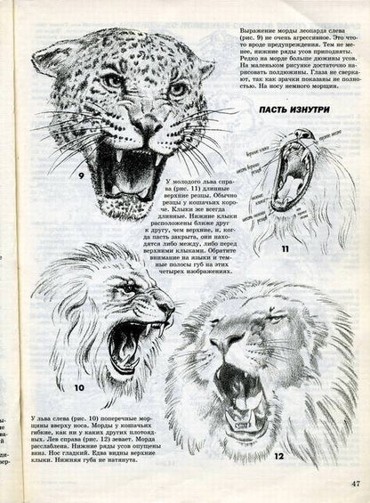 Comment risquer votre vie