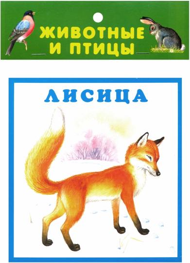 Véhicules et animaux (20 cartes pour l'Europe)