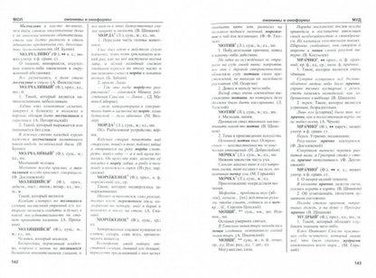 Словарь омонимов, омоформ и омографов русского языка. Новые словари. Гребенева Ю.Н.