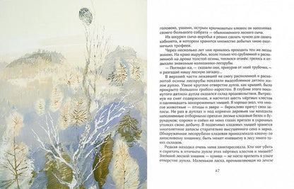 Сыч-воробей. Рассказы о птицах. Илл. Н. Чарушина