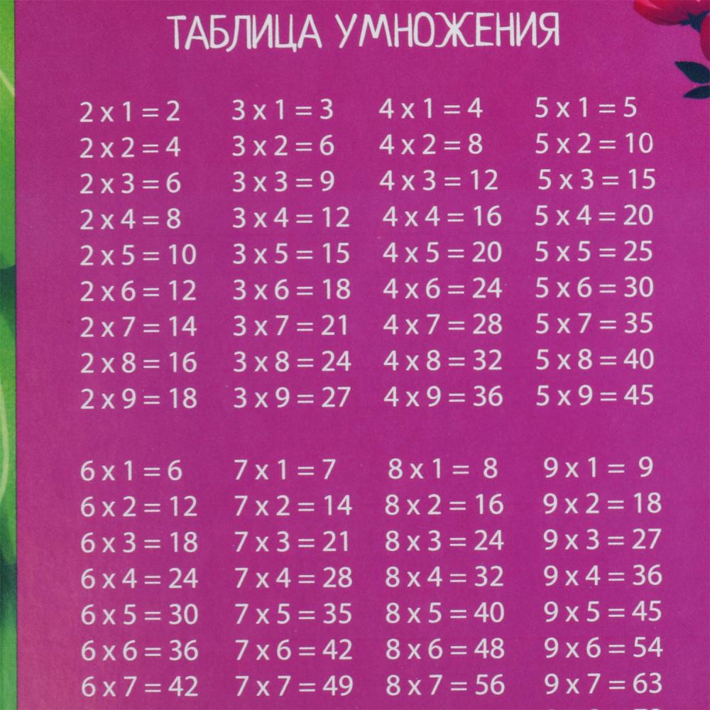 Тетрадь ЭНЧЕНТИМАЛС 24 листа, клетка Умка в кор.160шт
