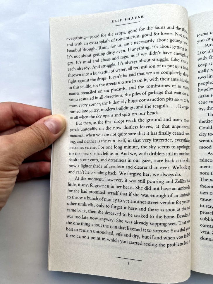 The Bastard of Istanbul (Стамбульский бастард)