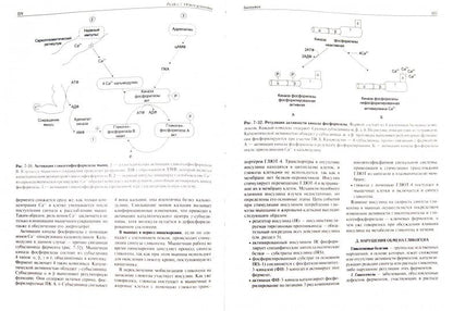 Биохимия. 5-е изд. испр. и доп.