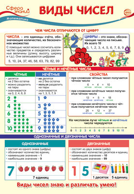 ПО-13504 Плакат А3. Математика в начальной школе. Виды чисел