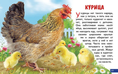 Cartes. Домашние птицы ; Cartes. Домашние птицы