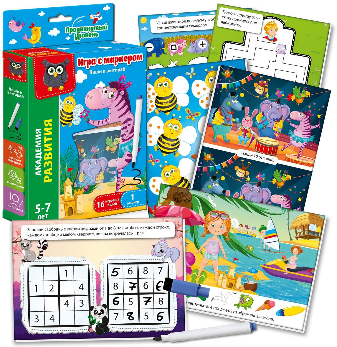 Игра с маркером Пиши и вытирай "Зебра. Продвинутый уровень" 16 карточек,1 маркер