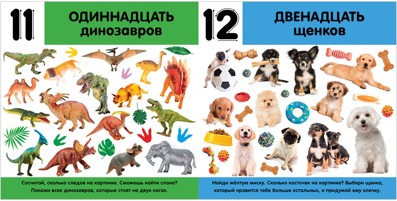 Книжки-картонки. Фотокнига. Цифры