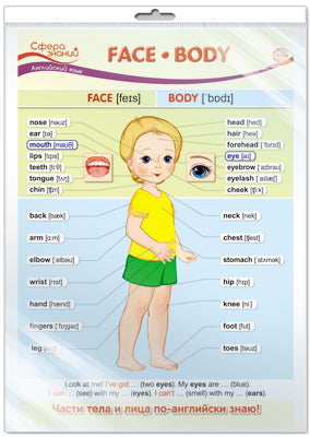 *ПО-13438 ПЛАКАТ А3 В ПАКЕТЕ. Face. Body (Лицо. Тело). Английский язык в начальной школе (в индивидуальной упаковке с европодвесом и клеевым клапаном)