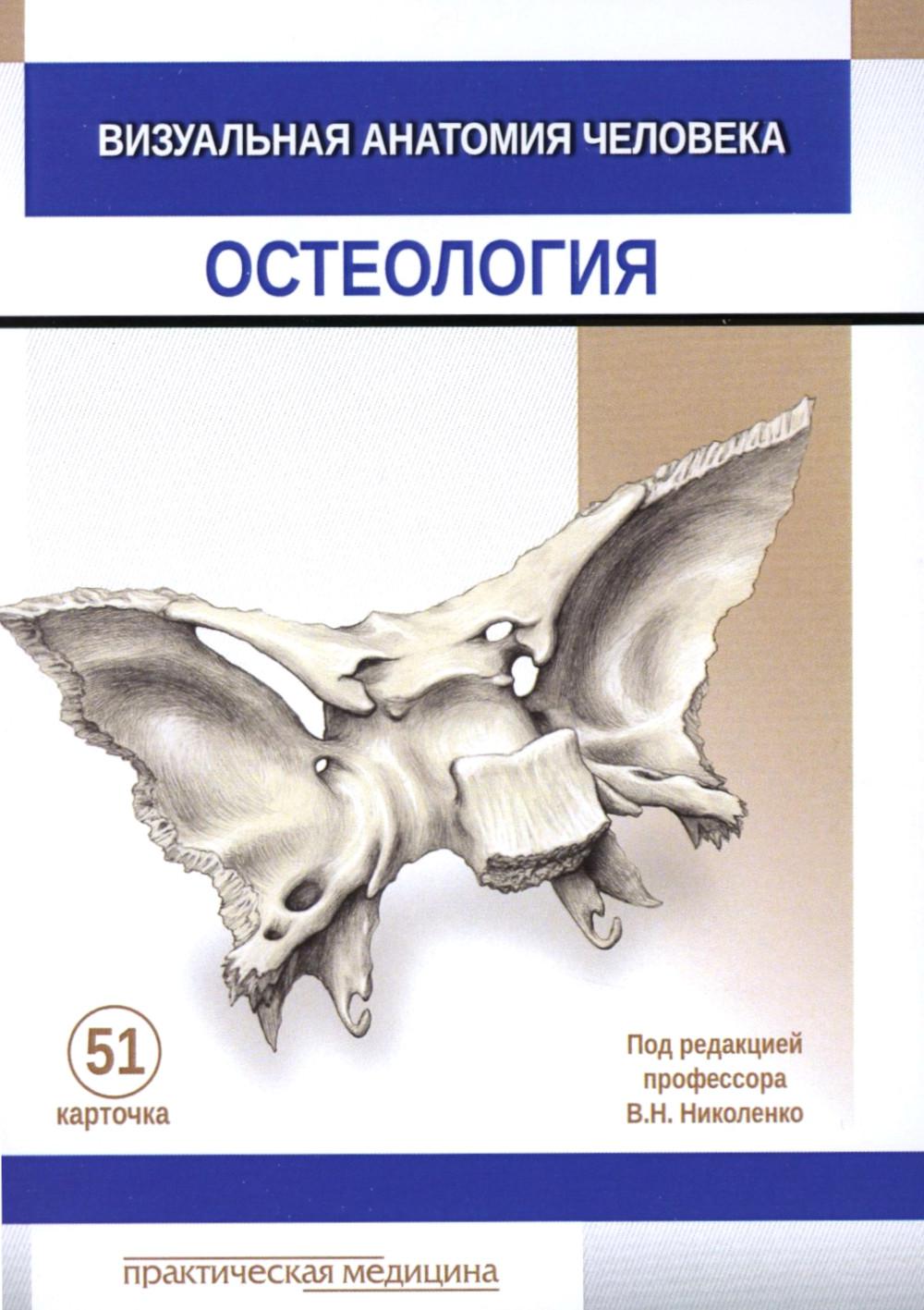 Визуальная анатомия человека. КАРТОЧКИ. Остеология (51 шт.)