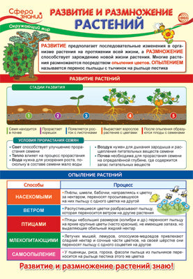 ПО-13972 Plaque A3. Окружающий мир в начальной школе. Развитие и размножение растений