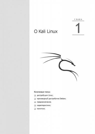 Kali Linux от разработчиков