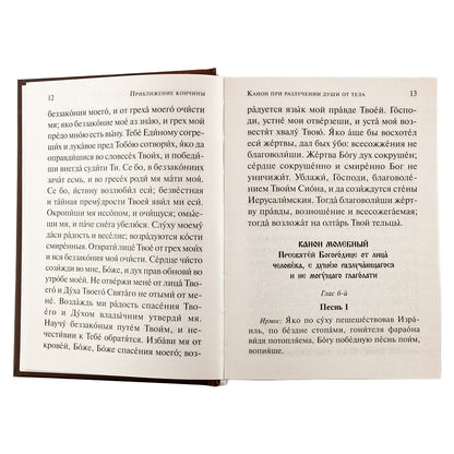 Псалтирь чтомая по усопшим. Canons, molitves, litties et paniches