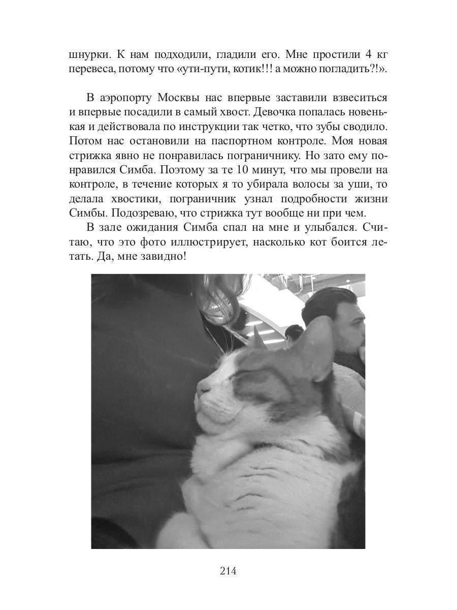 Кот, Домовой et Василий Иванович