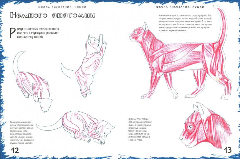 Школа рисования. Кошки