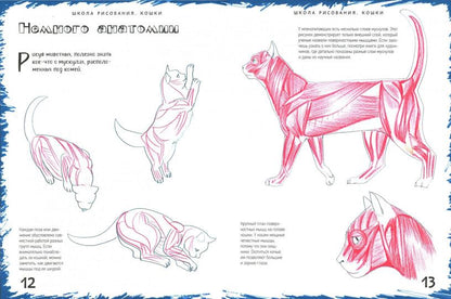 Школа рисования. Кошки