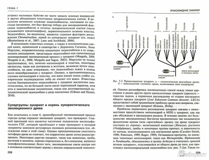 La logique est bonne. À propos de l'évolution biologique