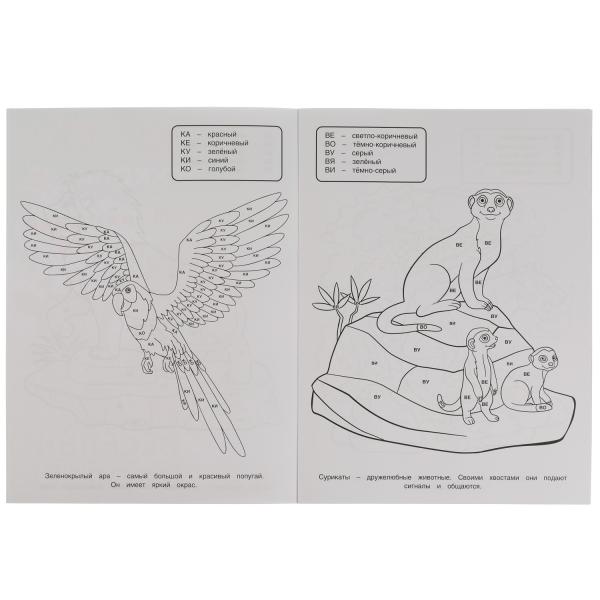 Il y a un parc zoologique. Раскраска по буквам. М.А. Жукова 214х290мм. Скрепка. 16 pièces. Умка в кор.50шт