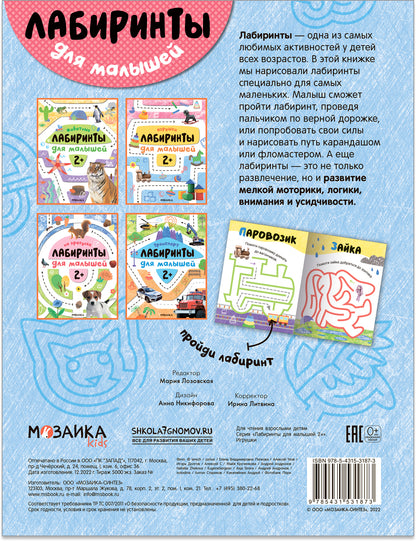 Лабиринты для малышей 2+. Игрушки