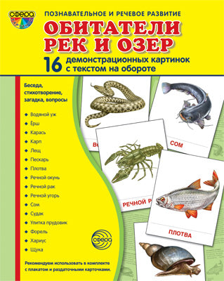 Дем. Cartes de démonstration du texte de l'article Matériau de démonstration 173x220 mm, facile à installer et à récupérer