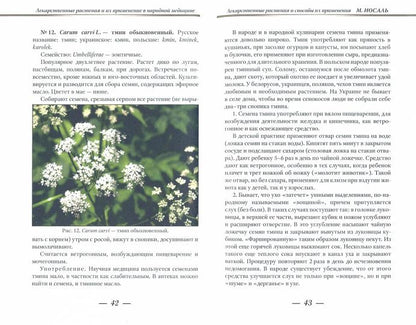 Лекарственные растения и способы их применения в народе. Носаль М.А.