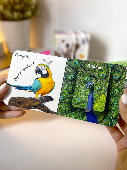 Malamalama. Шоубокс "Мир в картинках"