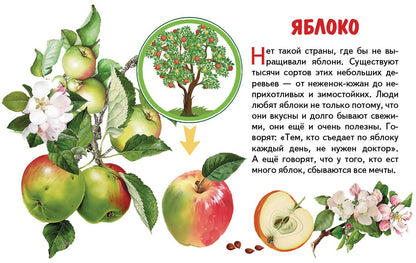 Карточки. Фрукты ; Карточки. Фрукты