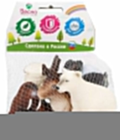 Весна. Набор "Животные Арктики и Антарктики" арт.В3467/10