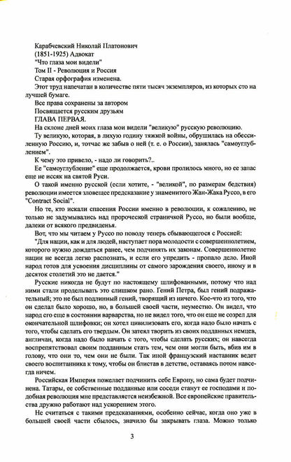 Что глаза мои видели. Т. 2: Революция и Россия