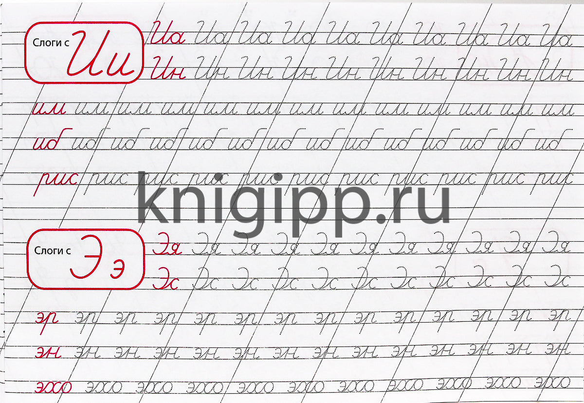 КАЛЛИГРАФИЧЕСКАЯ ПРОПИСЬ А5. album. ПИШЕМ СЛОГИ