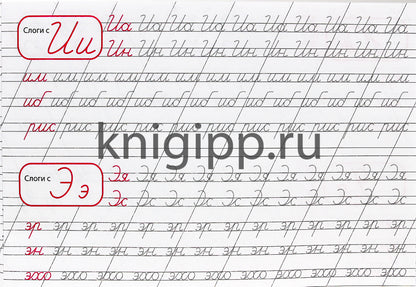 КАЛЛИГРАФИЧЕСКАЯ ПРОПИСЬ А5. album. ПИШЕМ СЛОГИ