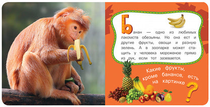 Обезьяна (Мои веселые друзья non-fiction)