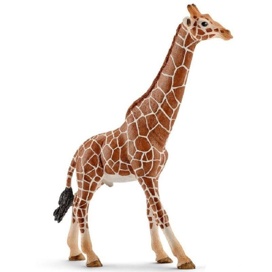 Schleich. Фигурка "Жираф, самец" арт.14749