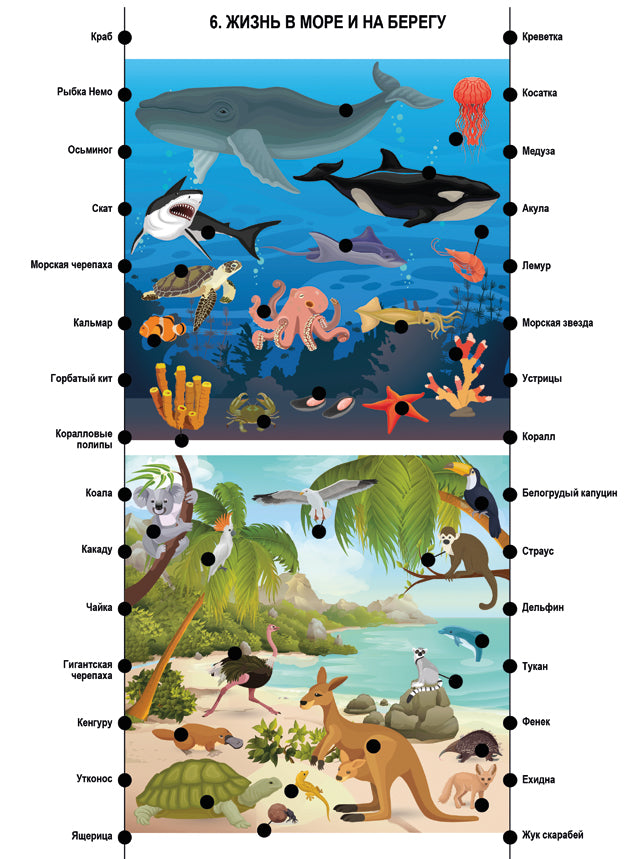 Игра настольная. Электровикторина "Размышляй-ка"