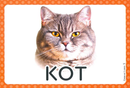 Логопедические карточки.Запускаем речь.Слова из 1 слога. (34 карточки). / Османова, Позднякова.