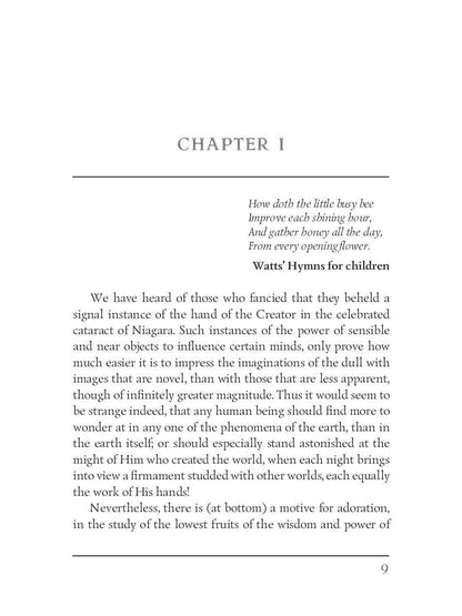 Les ouvertures en chêne ; ou, le chasseur d'abeilles = Прогалины в дубровах, или Охотник за пчелами на англ.яз. Cooper JF