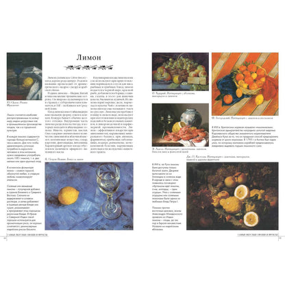 50.Самые вкусные овощи и фрукты