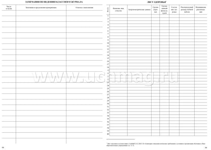 Классный журнал 10-11 классы
