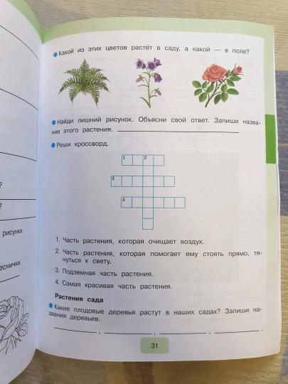 Мир природы и человека. Рабочая тетрадь. 3 класс. (для обучающихся с интеллектуальными нарушениями)