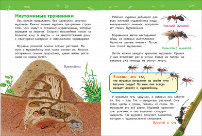 В лесу (Энциклопедия для детского сада)