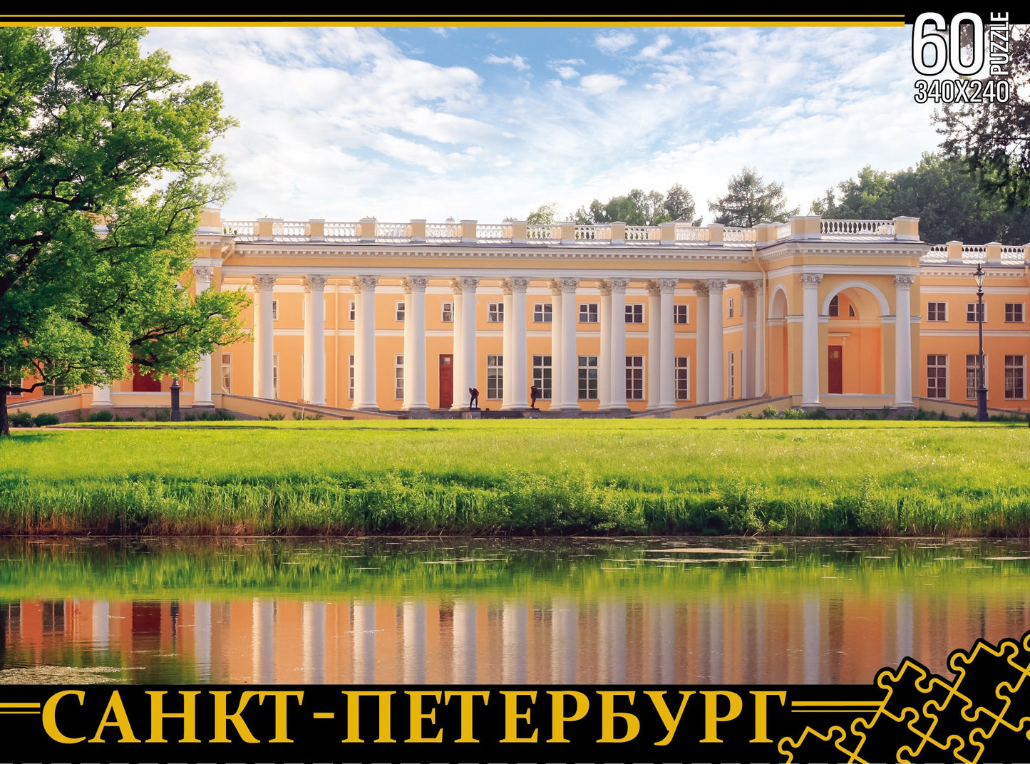 ПАЗЛЫ 60 éléments. Saint-Pétersbourg. Александровский дворец арт.7942 340х240 /48