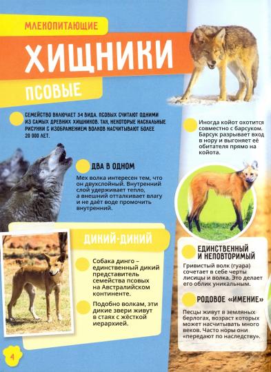Энциклопедия в дополненной реальности: "Животные. Невероятные факты"