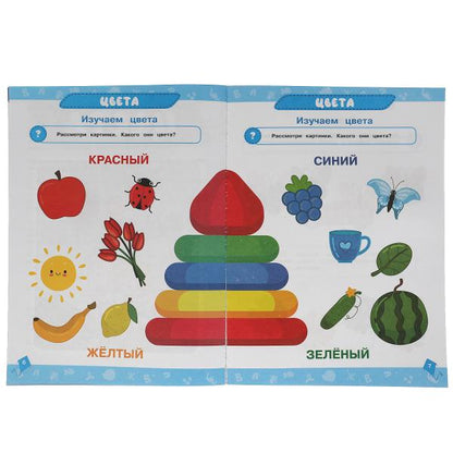 Годовой курс занятий 2-3 года с наклейкакми М.А. Жукова. 205х280мм, 96 pièces. Умка в кор.15шт