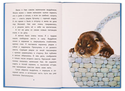 Чаплина. Ная - выдрёнок. Книга за книгой (пер).