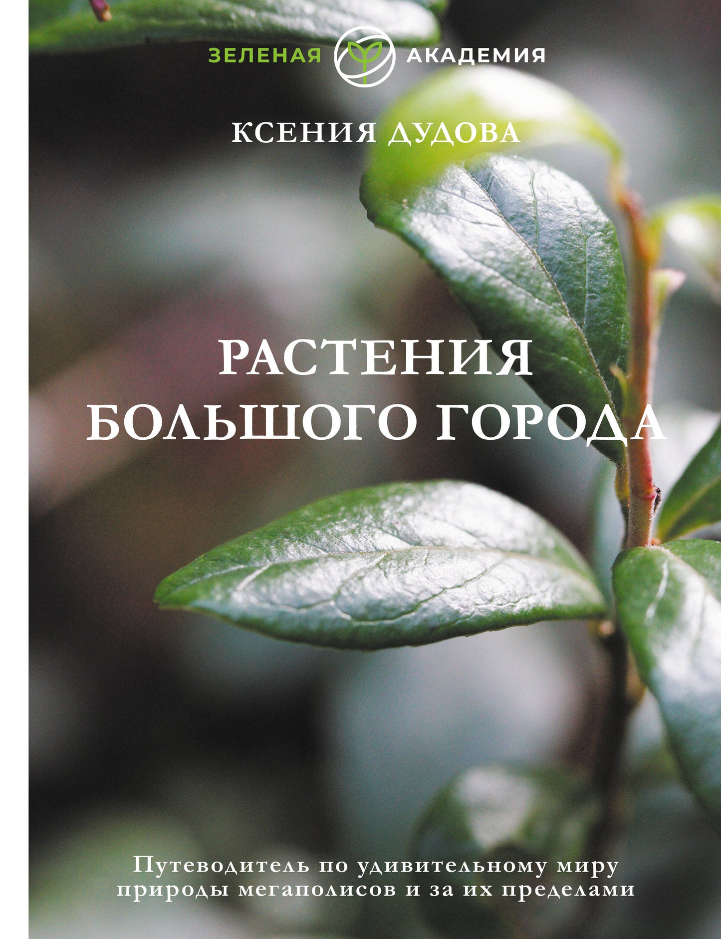 Растения большого города. Le projet est à la portée de tous pour les mégapoles et pour leurs prédécesseurs
